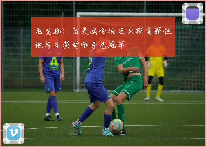 尼克杨：若是我会给里夫斯高薪但他与东契奇难夺总冠军
