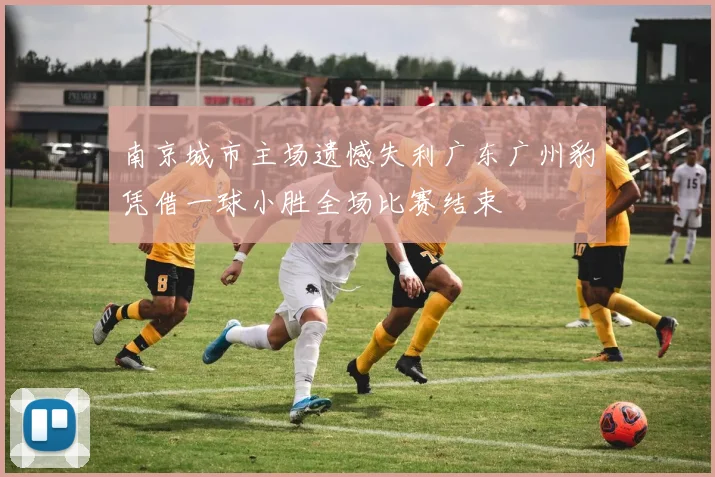 南京城市主场遗憾失利广东广州豹凭借一球小胜全场比赛结束